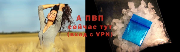 спайс Баксан