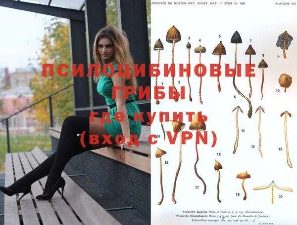 MDMA Арсеньев