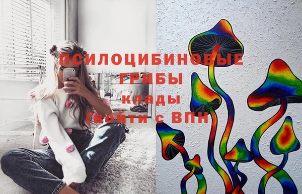 МДПВ Армянск