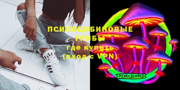 спайс Баксан