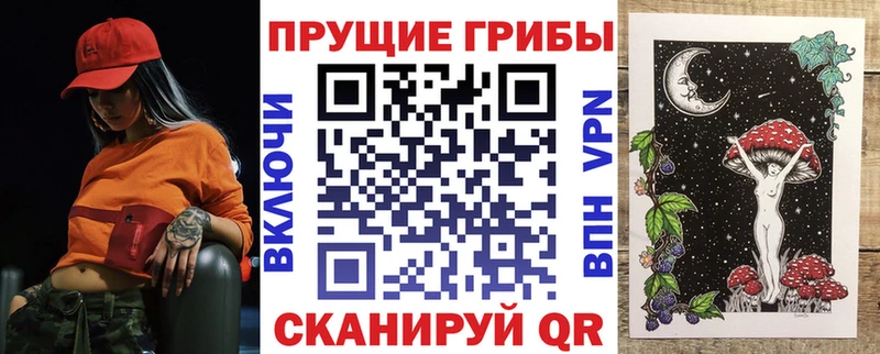 Купить закладки  Верхний Тагил  Галлюциногенные грибы прущие грибы 